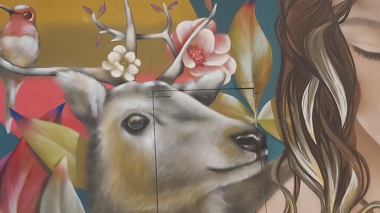 Talking about Barry Morphew's Trial part one 