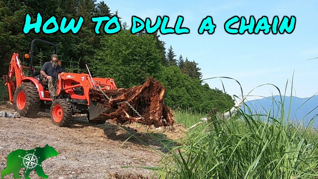 Removing stump with Kioti tractor and a Stihl chainsaw YouTube