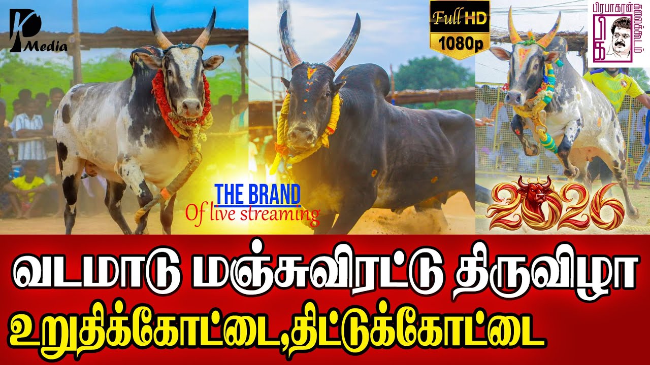 🔴LIVE (நேரலை) | உறுதிக்கோட்டை,திட்டுக்கோட்டை வடமாடு மஞ்சுவிரட்டு | சிவகங்கை மாவட்டம் | PK Media