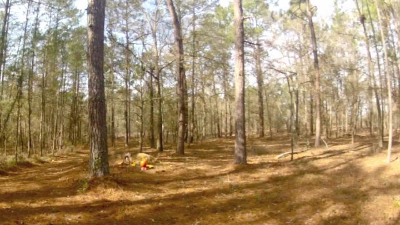 7/8 Pounds of Southern Thunder vs a Pumpkin