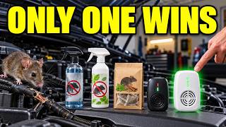 Mice Chewing Your Car Wires 10 Rodent Repellents Ranked (2026)