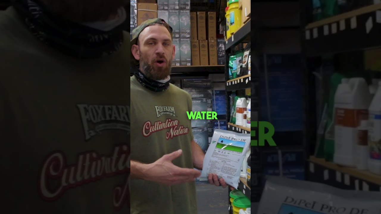 Can Bacillus Thuringiensis Solve Your Bug Problem? DiPel Pro DF Biopesticide