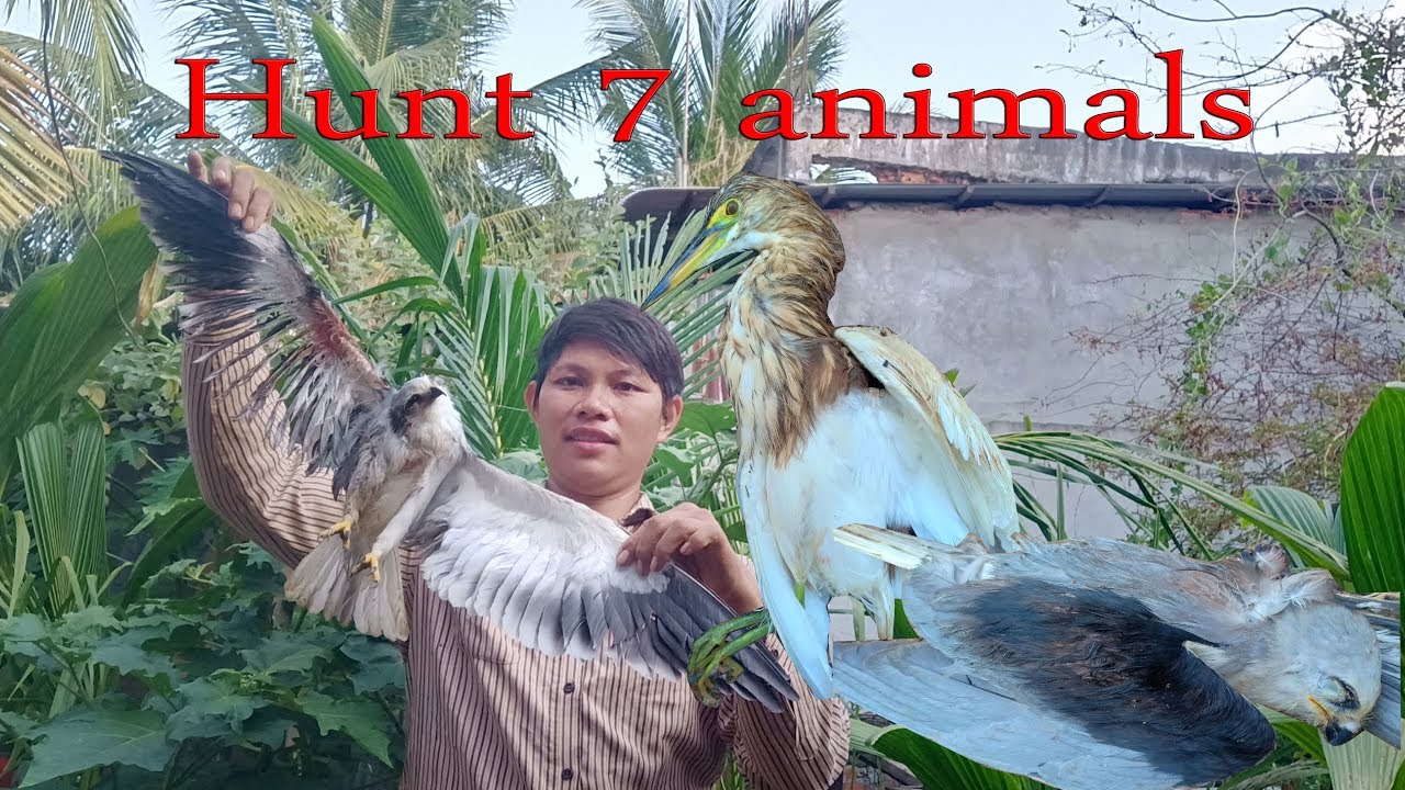 Hunt 7 animals - YouTube