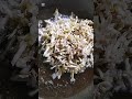 බත් කන්න සුපිරි කටගැස්ම #cooking #viruls #food #cookingideas #recipe
