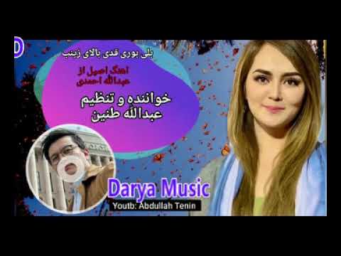 اهنگ زینب   2023 عبدالله طنین مالستانی  