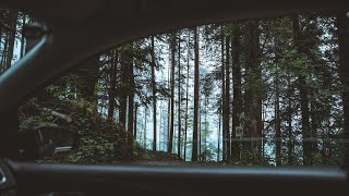 Amazon Ormanında Yağmur Ve Gök Gürültüsü. Uyku, Uykusuzluk Ve Rahatlatıcı Video Reklamsız