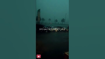 تلاوة مليئة بالخشوع🥺🤍 من سورة ( العنكبوت ) بصوت القارئ: عبد الرحمن مسعد..حفظه الله ورعاه. #quran