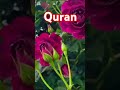 Surah Aale Imran Aayat 193 Urdu Translation Islami Video Alquranulkrim Beaut Quranislam рџЊ рџ ірџЊ рџ ІрџЊ рџ ЊрџЊ рџ Surah Aale Imran Aayat 193 Urdu Translation Islami Video Alquranulkrim Beaut Quranislam рџЊ рџ ірџЊ рџ ІрџЊ рџ ЊрџЊ рџ