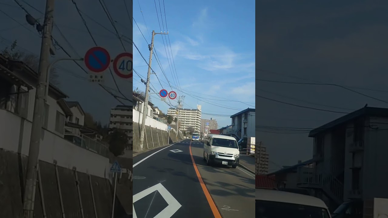 Vaelissed - Always in Your Lights