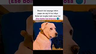 Isse bolte hain time management! 😭🤣 #shorts #memes #resultday #papamemes #viralmemes #fyp #dogmeme
