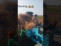 Modern Thresher Machine in Action ⚙️#farming #kheti #agriculture #indianfarmer