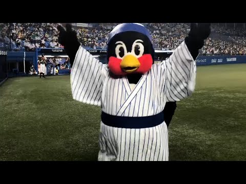 ★ 神宮球場 つば九郎 プロコレ 背番号36 練習着 2XL ヤクルトスワローズ ☆ 神宮球場 つば九郎 プロコレ 背番号36 練習着 2XL ヤクルト
