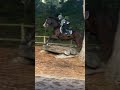 Today #horse #equestrian