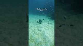 A Marine Biologists Favorite Place