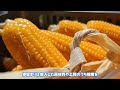 住友金属鉱山×トヨタ「全固体」正極材の量産協業で株価はどう動く？——買い場・合格ライン・リスクまで“実務目線”で総点検