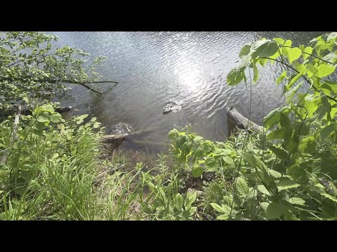 Прогулки по Киеву. Парк Феофания