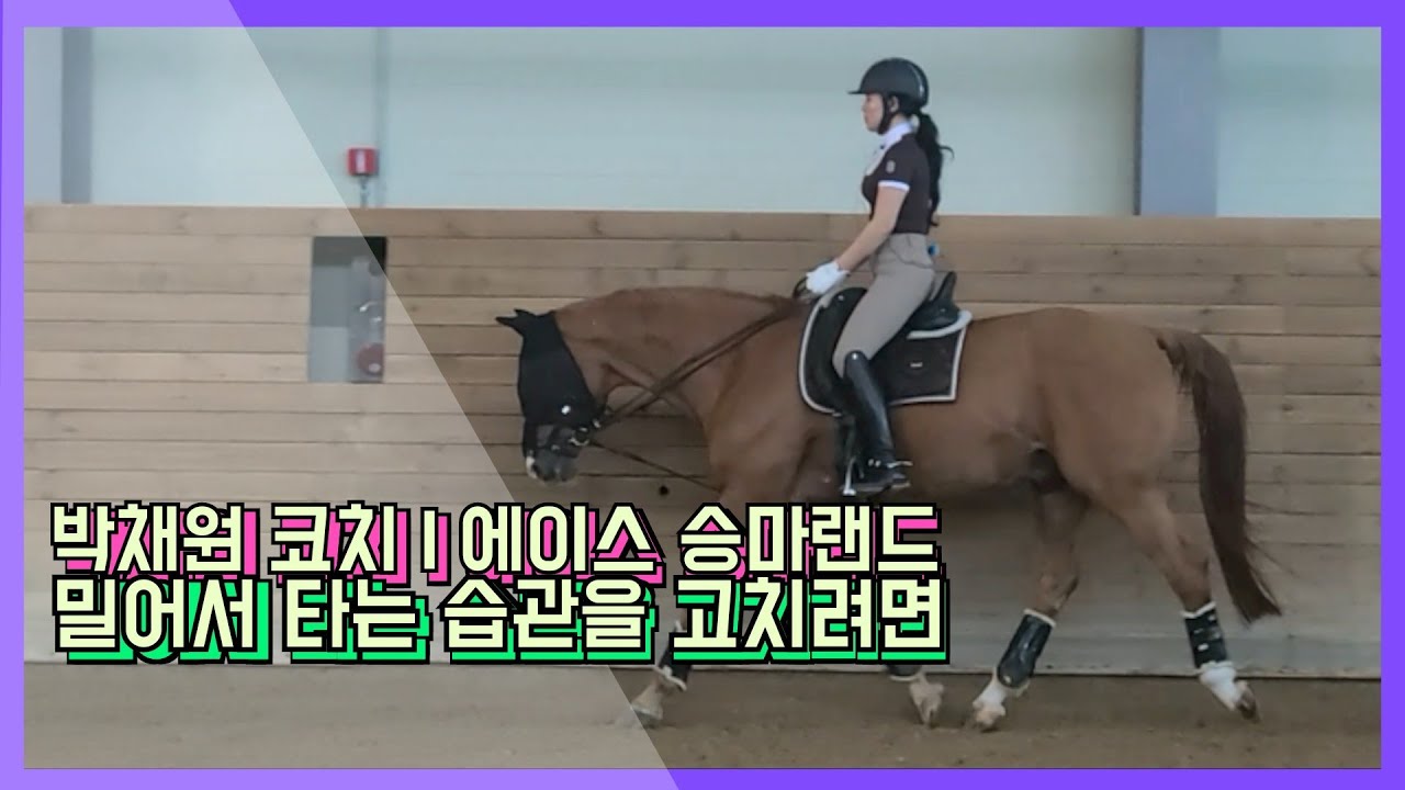[승마] 박채원 코치 & 에이스 승마랜드 | 평보 경속보 구보 심플체인지 | 밀어서 타는 습관을 고치려면 | DK Horse | Y♡U 당신이 주인공 | 기승일기 | 마장마술