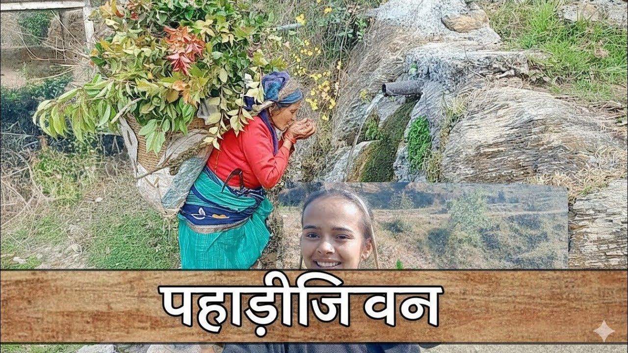 हे जन्मभूमि तेरी जय जयकार हो 🙏( हम गांव से हैं भूला गवार मत समझना 🙏😊 ) #pahadi #volg #kumauni 