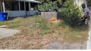 Download Lagu SAVING an OVERGROWN Yard Before the City Issued a FINE  MP3