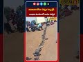 కామారెడ్డిలో యూరియా కొరత | రైతులకు మొదలైన యూరియా కష్టాలు | #local18shorts