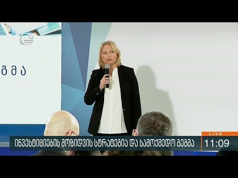 ინვესტიციების მოზიდვის ახალი პროაქტიური სტრატეგიის პრეზენტაცია