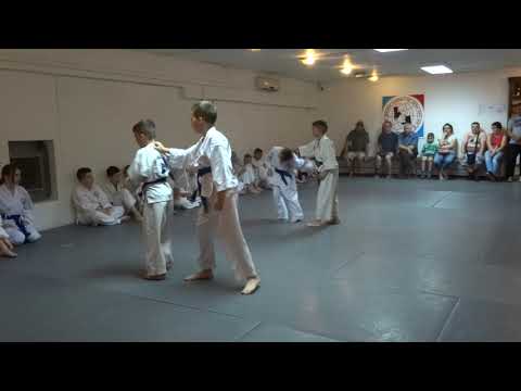 Klub realnog aikidoa i jujutsu Novi Sad Polaganje za zvanja jun 2019 III, IV grupa, odrasli 13/24