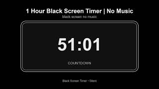 1 Hour Black Screen Timer | Silent