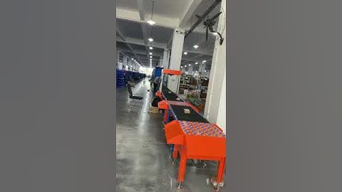 DWS sorting line, scanning, weighing, swivel wheel sorter, rotary wheel sorter, box sorting line