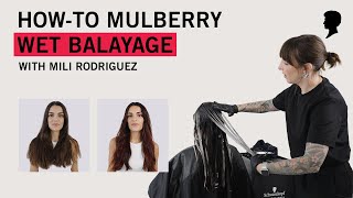Mulberry Wet Balayage | Formula & How-To
