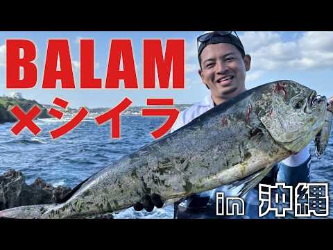 水平線の彼方へ produced by MADNESS JAPAN - YouTube