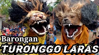 BARONGAN | TURONGGO LARAS | live Sumyak Sojomerto