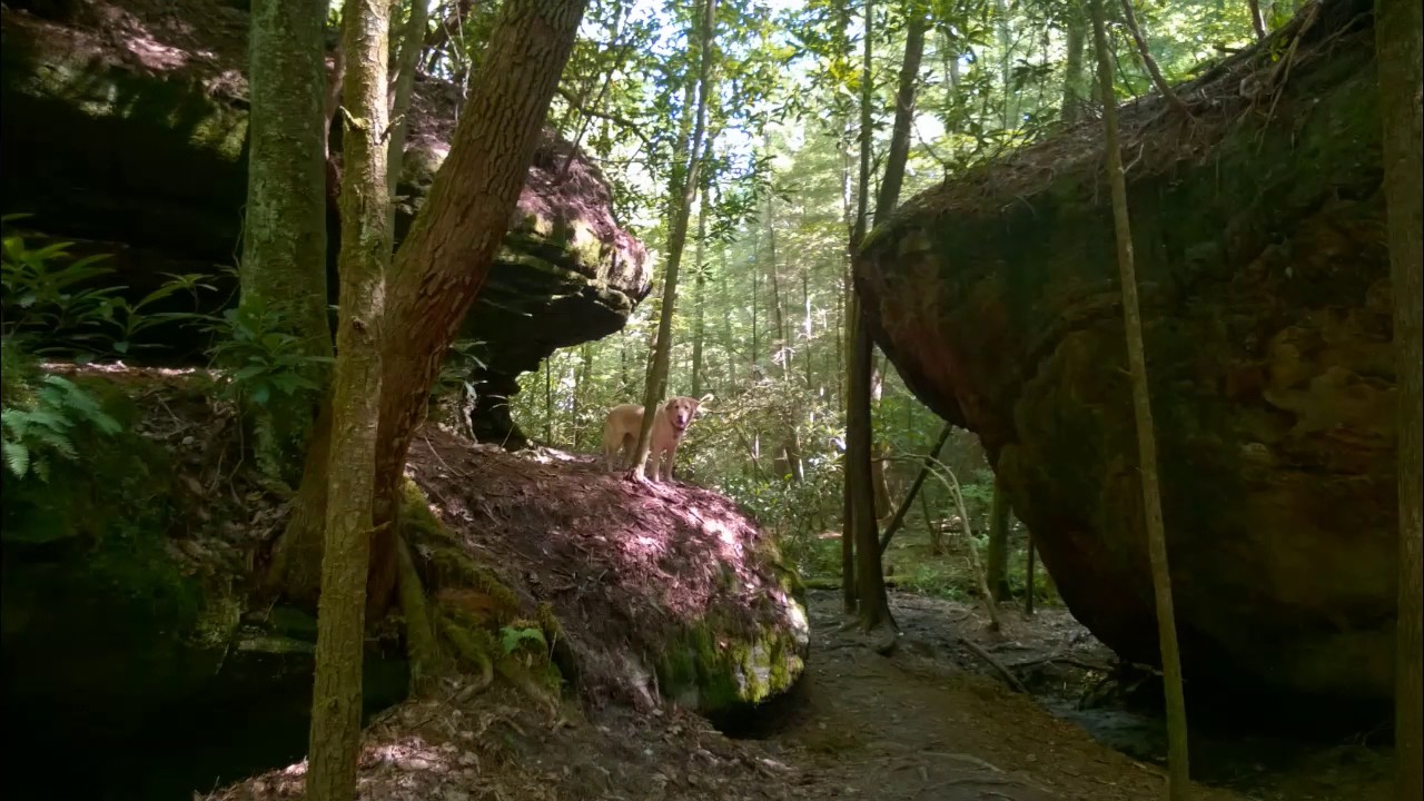 Copperas Creek Falls