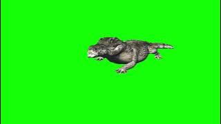 GREENSCREEN CROCODILLE BUAYA GANAS MENYERANG