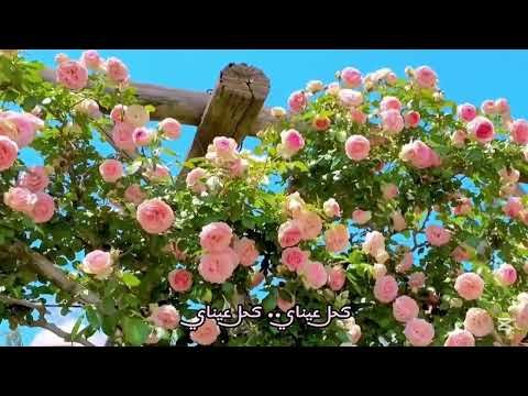 لوحة عشق باسم الكربلائي