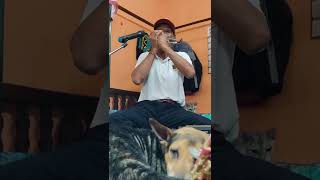 Harmonica Coverjhilmll Sitaron Kajiwan Mrityurafi Sahab And Latajijiwankumar4628