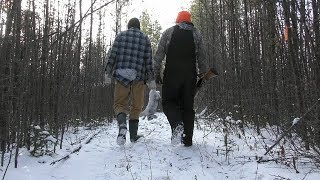 Snaring Rabbits Profile