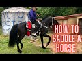 Como Ensillar Un Caballo Y Ponerle Su Rienda| How To Saddle A Horse & Put On Its Rein!!!!