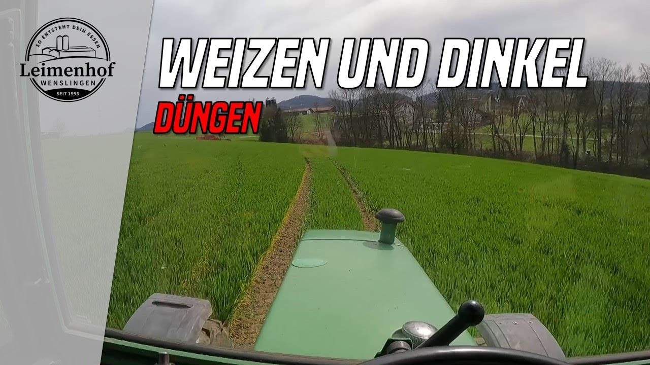 Weizen und Dinkel dngen - So entsteht dein Essen #230