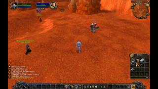 World of Warcraft Paladin vs Warlock HD