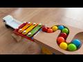 Marble Run ASMR ⭐︎ #8 | Marble Run, Truck, Mystery Car &amp; Treasure Chest