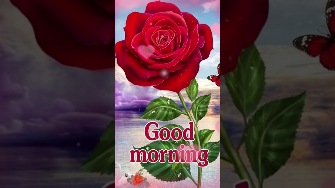 good morning love shayari WhatsApp status #love #goodmorning