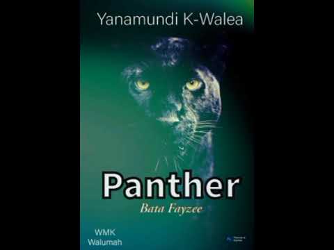 Yanamundi K Walea Panther By Bata Fayzee 2025 Fresh Single WMK Records Prodz By Walumah