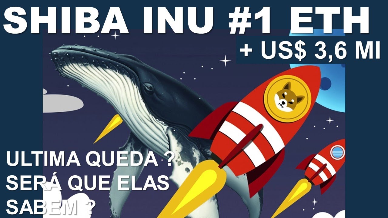 SHIBA INU HOJE 🐳BALEIAS ENCHENDO SUAS CARTEIRAS 🐋SHIB EM