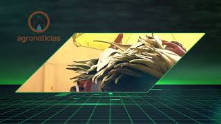 TITULARES AGRONOTICIAS PROGRAMA 437