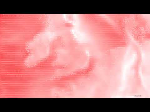 2020 NetCDF wind vector 4K visualization from python, with country shapes added.