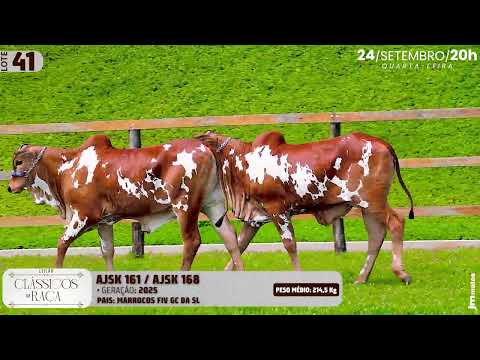 LOTE 42   AJSK 161,168