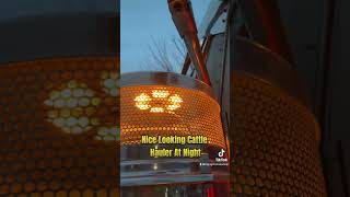 CATTLE HAULER GLOWING AT NIGHT! - Big Rig Chrome Shop
