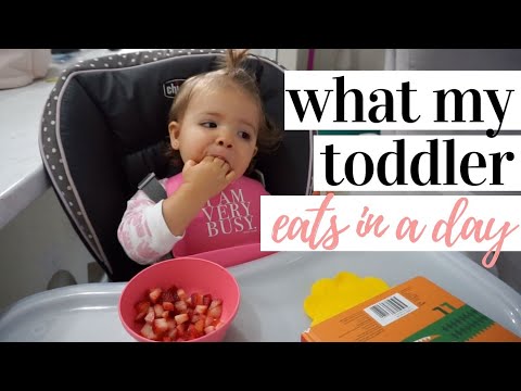 what-my-toddler-eats-in-a-day-2019-|-easy-toddler-meal-ideas