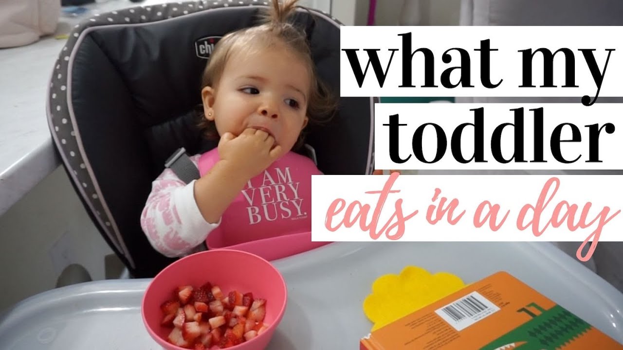 WHAT MY TODDLER EATS IN A DAY 2019 EASY TODDLER MEAL IDEAS YouTube