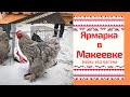 Ярмарка Голубей, певчих и экзотических птиц в Макеевке . Суббота 13.03.21г.